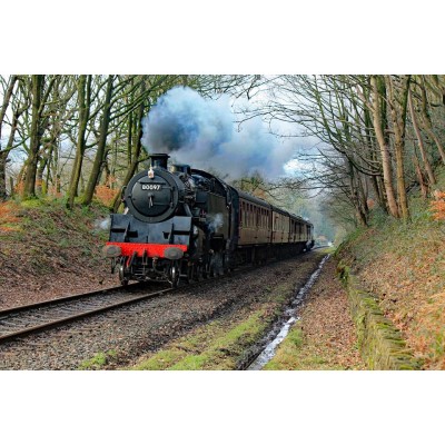 Supporters Celebration Invitation